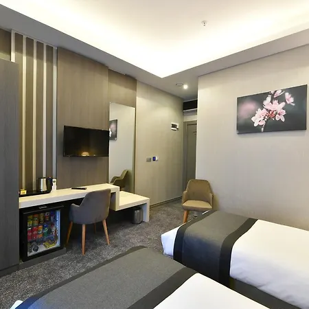 Hotel D'lux Boutique 3*